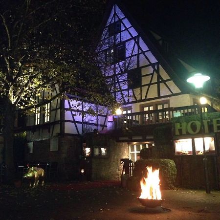 阿尔特斯巴德豪斯酒店 埃伯巴赫 外观 照片